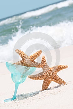 Paryting Starfish