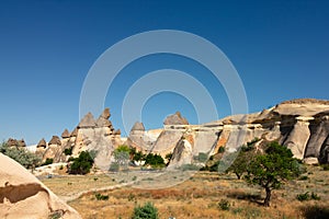 Pasabagi in Cappadocia. Fairy chimneys or peri bacalari in Pasabagi.