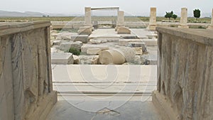 Pasargadae relief remains