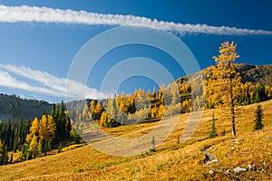 Pasayten Wilderness in Fall