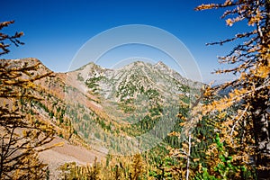 Pasayten Wilderness in Fall