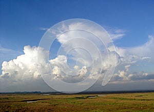 Pascagoula River basin floodplain photo