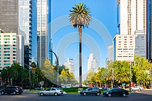 Paseo de la Reforma in Mexico City photo