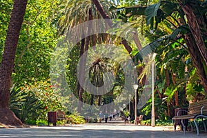 Paseo del Parque in Malaga, Costa del sol, Spain photo