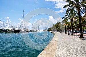 Paseo maritimo - Palma de Mallorca, Balearic Islands, Spain photo