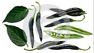 Pasilla Bajio chilaca peppers, leaves, paths