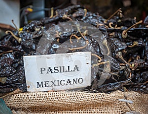 Pasilla chili in Oaxaca market, Mexico photo