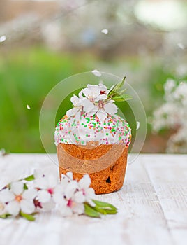 Paska, kulich, sweet Easter cake decorated with almond flowers