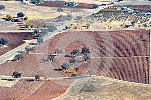 Paso Robles Fall Vineyards viewed from an airplane - amazing autumn colors
