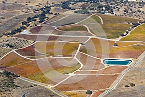 Paso Robles Fall Vineyards viewed from an airplane - amazing autumn colors