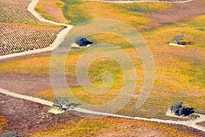 Paso Robles Fall Vineyards viewed from an airplane - amazing autumn colors