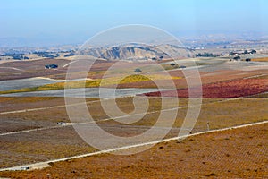 Paso Robles Fall Vineyards viewed from an airplane - amazing autumn colors