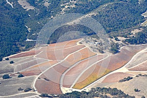 Paso Robles Fall Vineyards viewed from an airplane - amazing autumn colors