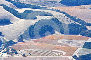 Paso Robles Fall Vineyards viewed from an airplane - amazing autumn colors