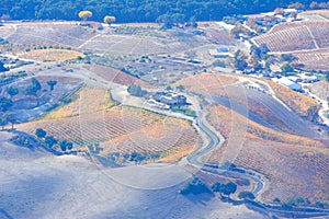 Paso Robles Fall Vineyards viewed from an airplane - amazing autumn colors