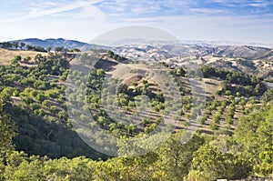 Paso Robles Wine Country Vista photo