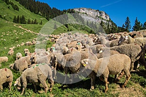 Pass of ayes,sain pierre de chartreuse,isere,france