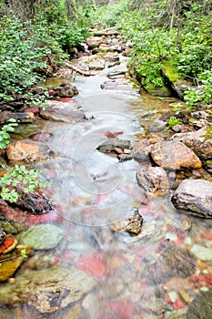 Pass Creek flowing through Glacier National Park