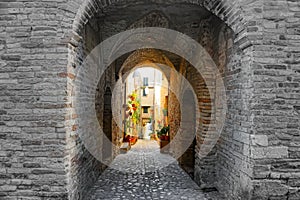 Passage of old city with a lot of flowers in  Italy