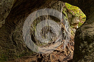 Passage in rock along Mullerthal trail in Luxembourg