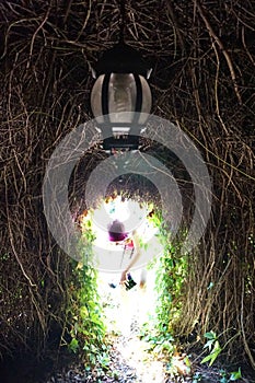 Passage to the arbor twined by vines. The bright sun is outside.