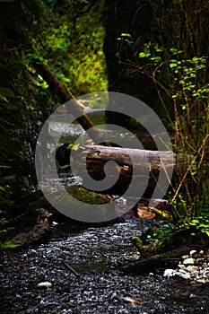 Passage to the pacific