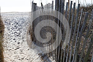 Passage to the unknown, soft beach sand between erosion fences lead to uncertain future, rites of passage