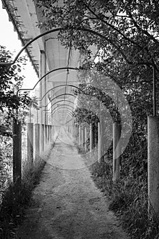 Passage under a viaduct in Galicia Spain photo