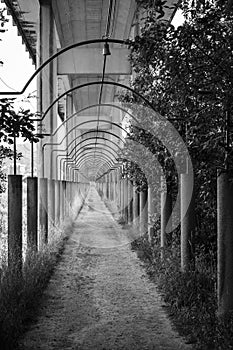 Passage under a viaduct in Galicia Spain photo