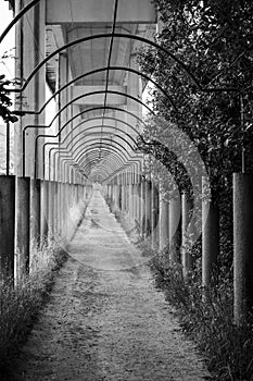 Passage under a viaduct in Galicia Spain photo