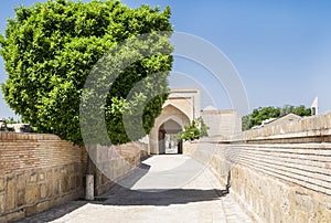 Passageway with a beautiful tree inside the memorial complex of Khoja Bahauddin Nakshband, Bukhara, Uzbekistan photo