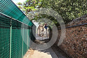 Passageway bordered by a brick wall with a tree