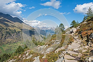 Passeier Valley, Italian Alps, Sooth Tyrol, near mountain village Pfelders