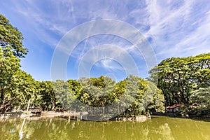 Passeio Publico Park. Curitiba, Parana State - Brazil photo