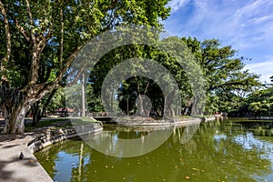 Passeio Publico Park. Curitiba, Parana State - Brazil photo