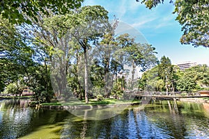 Passeio Publico Park. Curitiba, Parana State - Brazil photo