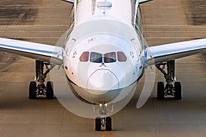 Passenger jumbo jet head on, on runway