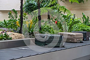 Passenger luggage on conveyor belt at botanic styled Changi airport