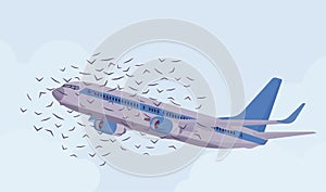 Passenger plane bird flock strike