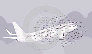 Passenger plane bird flock strike