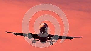 Plane flying among branches, silhouette, closeup view