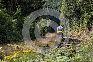 Passenger train in a forest