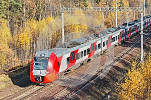 Passenger train moves along the forest at autumn day