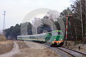 Passenger train passing through the forest