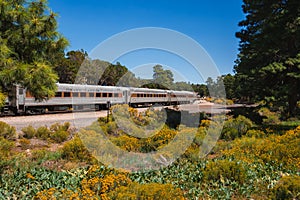 Passenger train with silver carriages on tracks in lush landscape