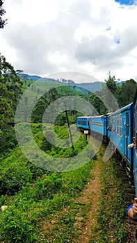 Passenger train with tourists rides through the green fields and the jungle of Sri Lanka