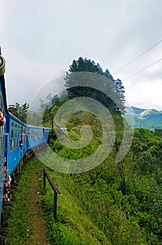 Passenger train with tourists rides through the green fields and the jungle of Sri Lanka