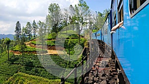 Passenger train with tourists rides through the green fields and the jungle of Sri Lanka