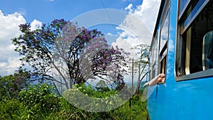 Passenger train with tourists rides through the green fields and the jungle of Sri Lanka