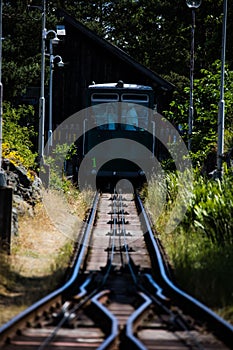 a passenger train traveling through the forest along the tracks line